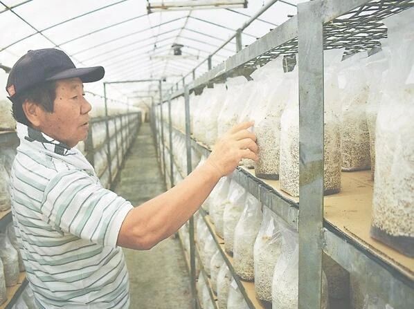 圖片關鍵詞 圖片關鍵詞