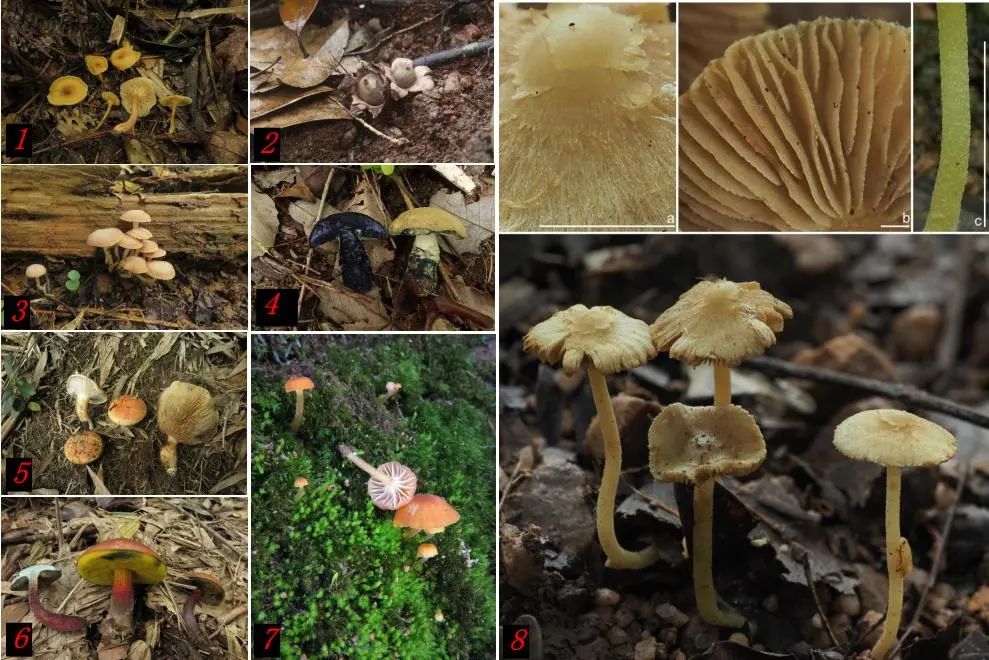 圖片關鍵詞 圖片關鍵詞