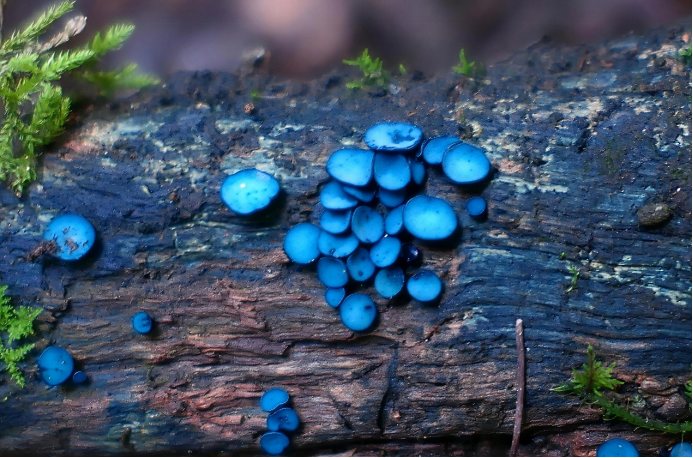 圖片關(guān)鍵詞 圖片關(guān)鍵詞