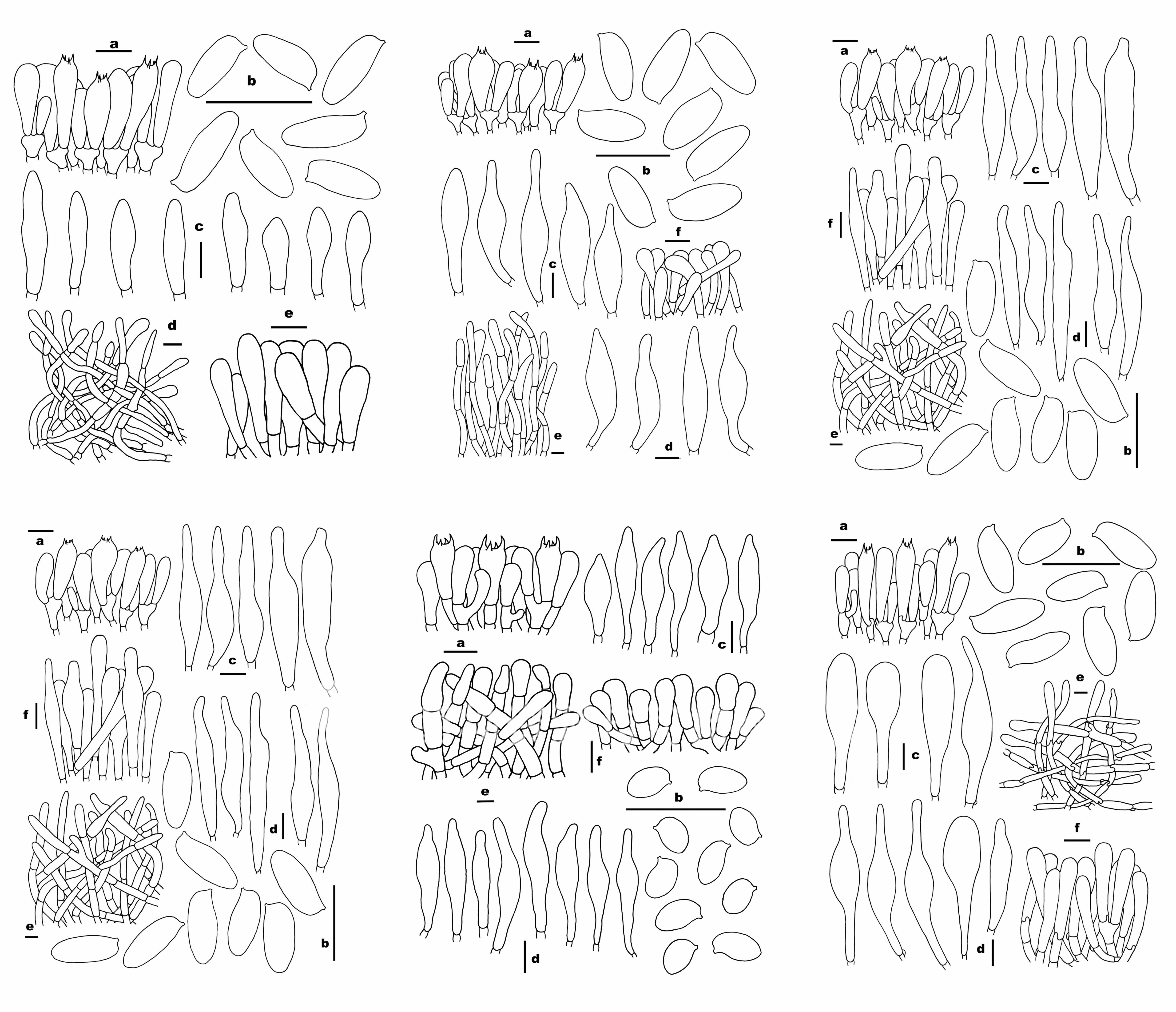圖片關鍵詞 圖片關鍵詞
